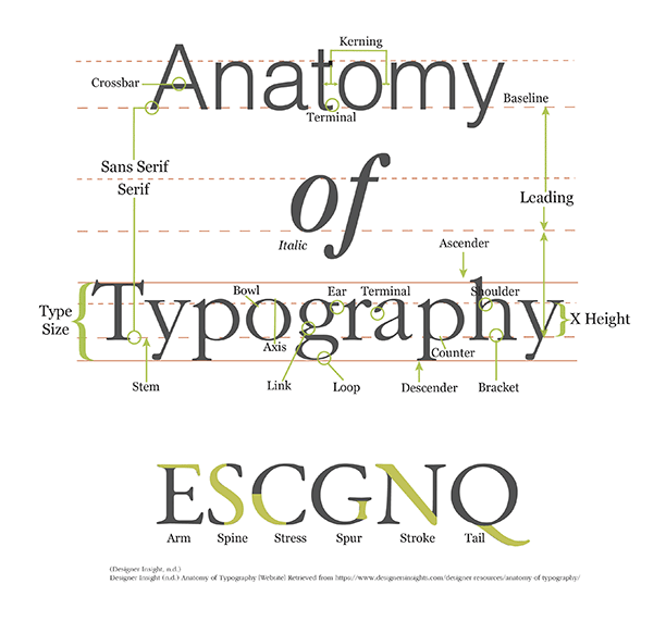 Creative Brand Land, Anatomy of Typography