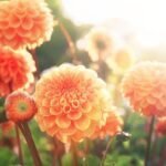 Creative Brand Land- Color Psychology- Orange-Flowers